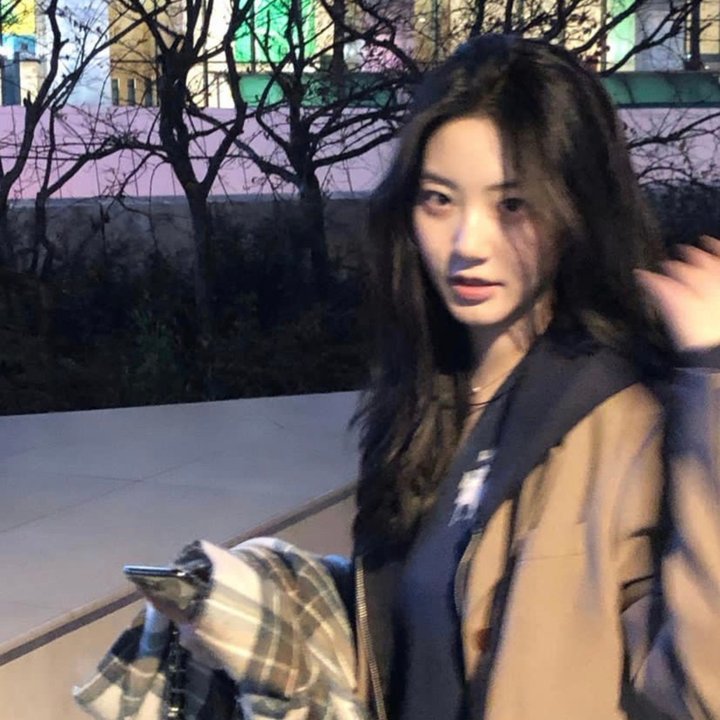 天鹅公主的圣诞