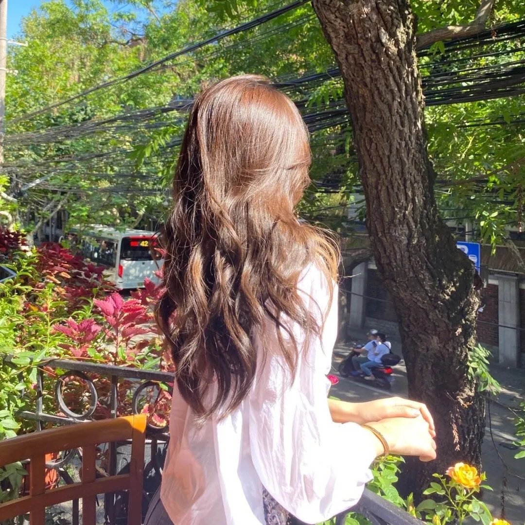 姐妹的花园